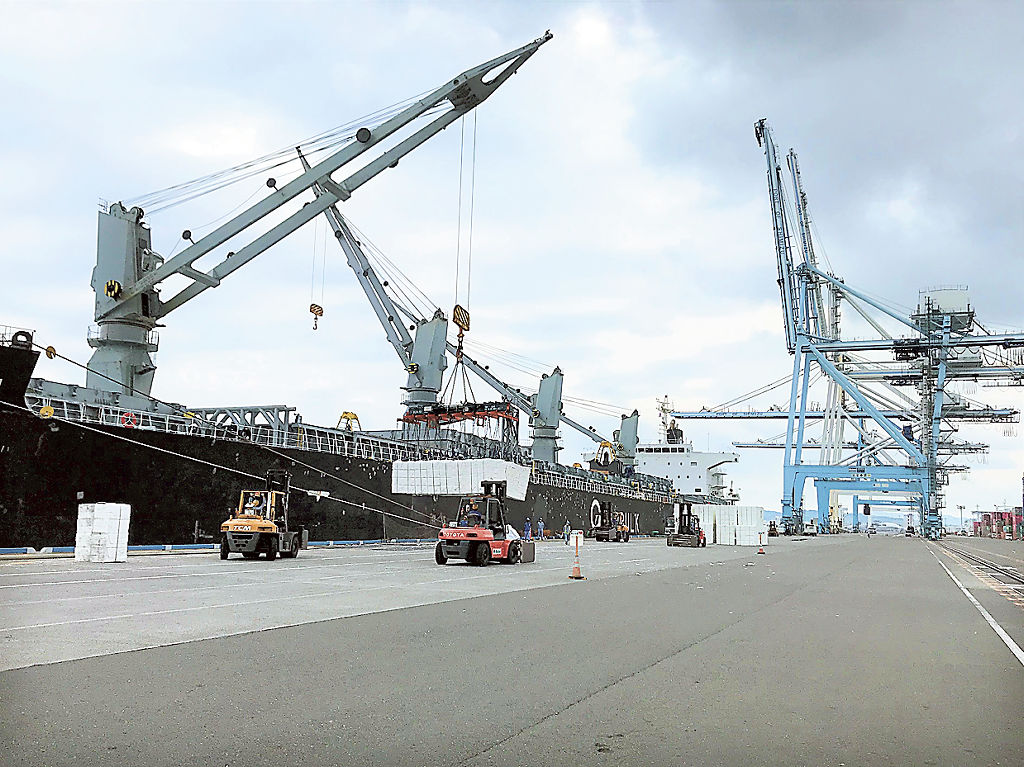 新興津岸壁で大型船から荷揚げされる木材パルプ＝２０２１年６月、清水港（国土交通省清水港湾事務所提供）