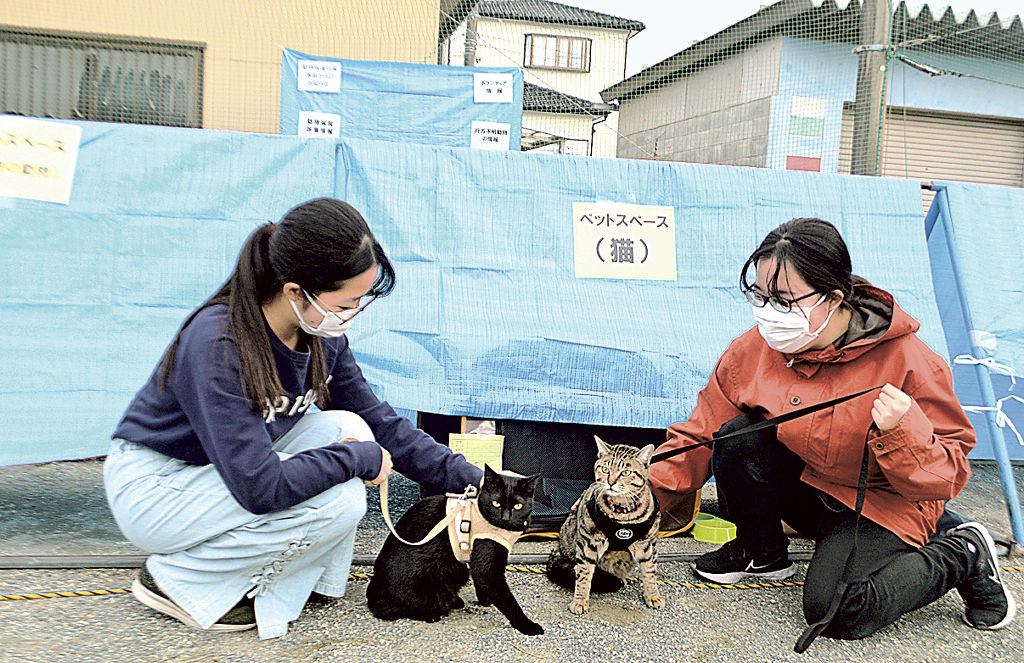 ペットスペースを開設した飼い主ら＝２０２２年１２月４日、静岡市駿河区の西豊田小