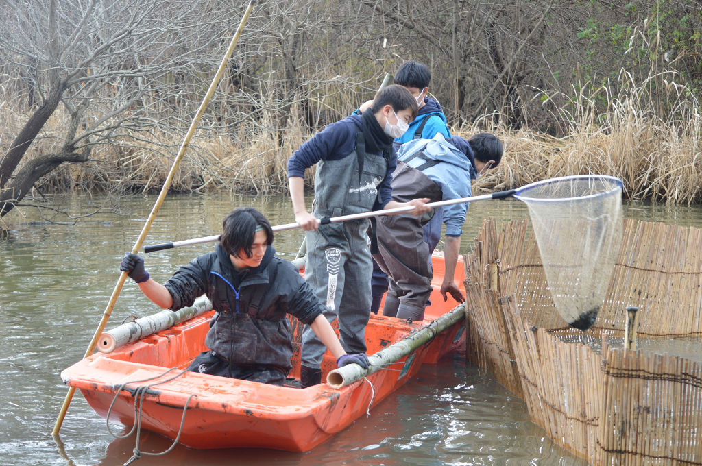 柴揚げ漁に挑戦する学生たち＝静岡市葵区の麻機遊水地