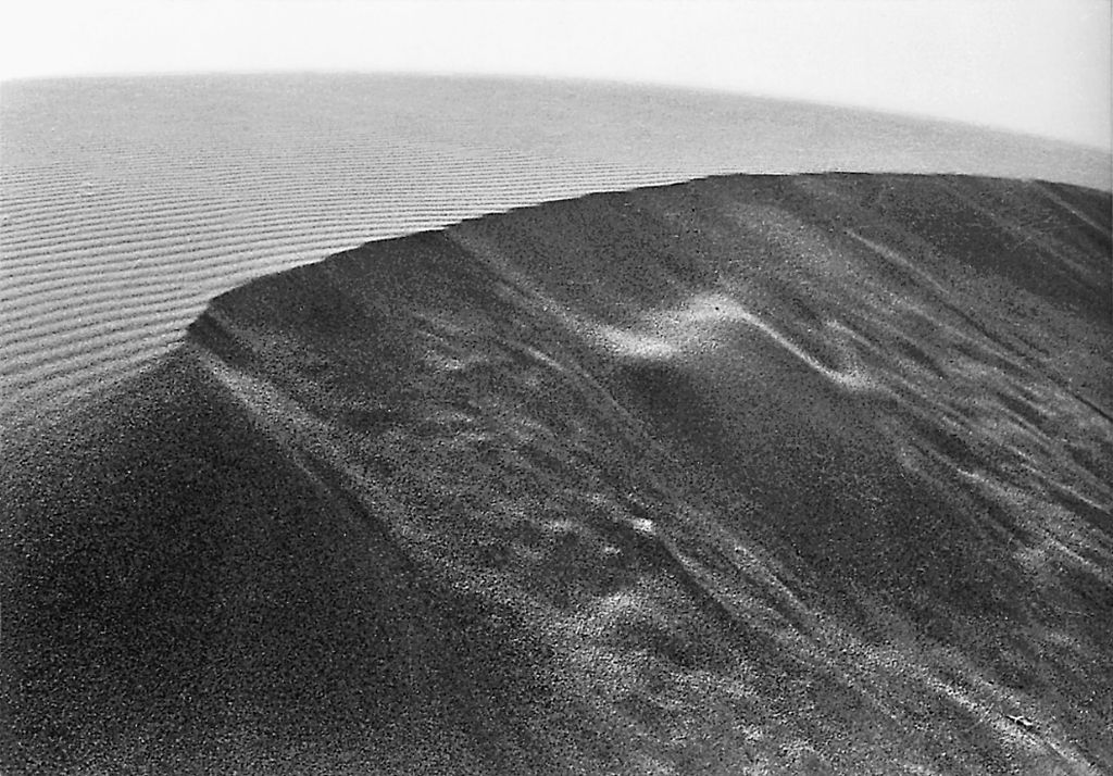 約６０年前に中内康博さんが雨上がりに撮影した、中田島砂丘の巨大な風紋
