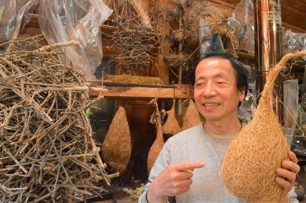 鈴木まもるさんが自宅敷地内に設けた「鳥の巣研究所アトリエ」には巣がところ狭しと並ぶ。本人も「何個あるか分からない」と話すほど＝２０２２年１２月下旬、下田市