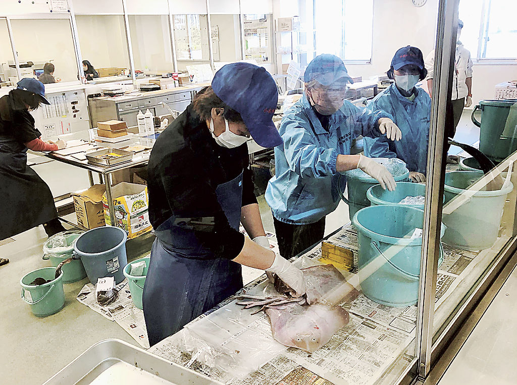 水揚げされた魚種の放射性物質検査の下処理＝２月２日、福島県いわき市の小名浜魚市場