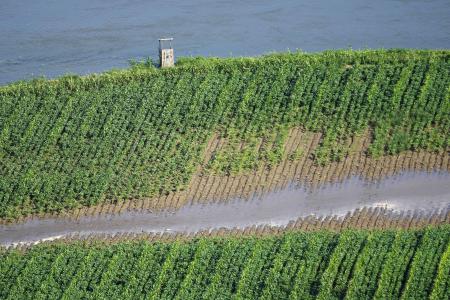 北朝鮮平安北道で一部冠水した畑＝２０２２年８月、中国・丹東から撮影（共同）