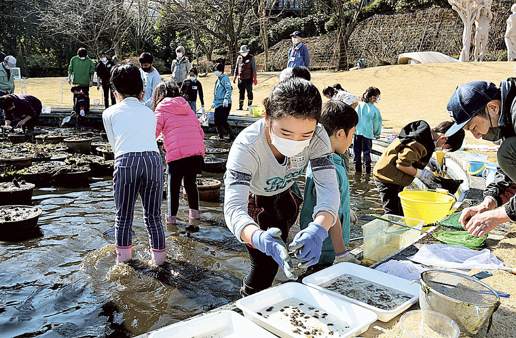 鏡池で夢中になって生き物を“救出”する子どもたち＝２月中旬、長泉町のヴァンジ彫刻庭園美術館