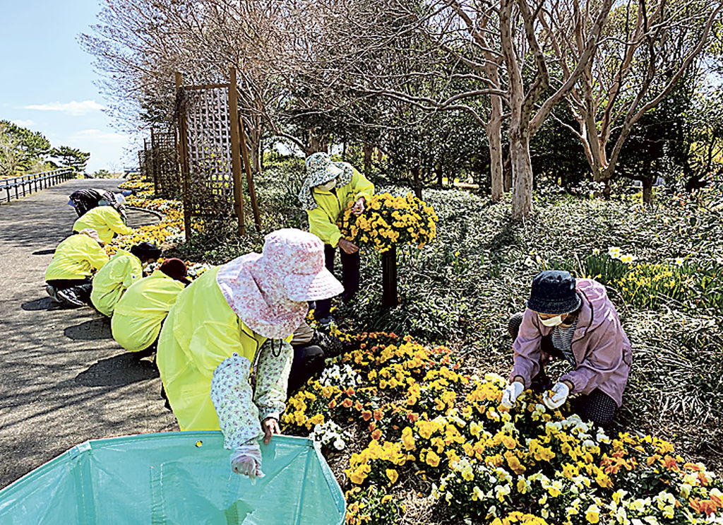 花壇の手入れ作業に汗を流す会員ら＝吉田町の県営吉田公園