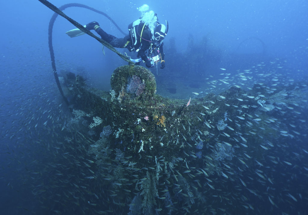 水深約２５メートルに沈む「旭１６号」の船首付近＝熱海市沖