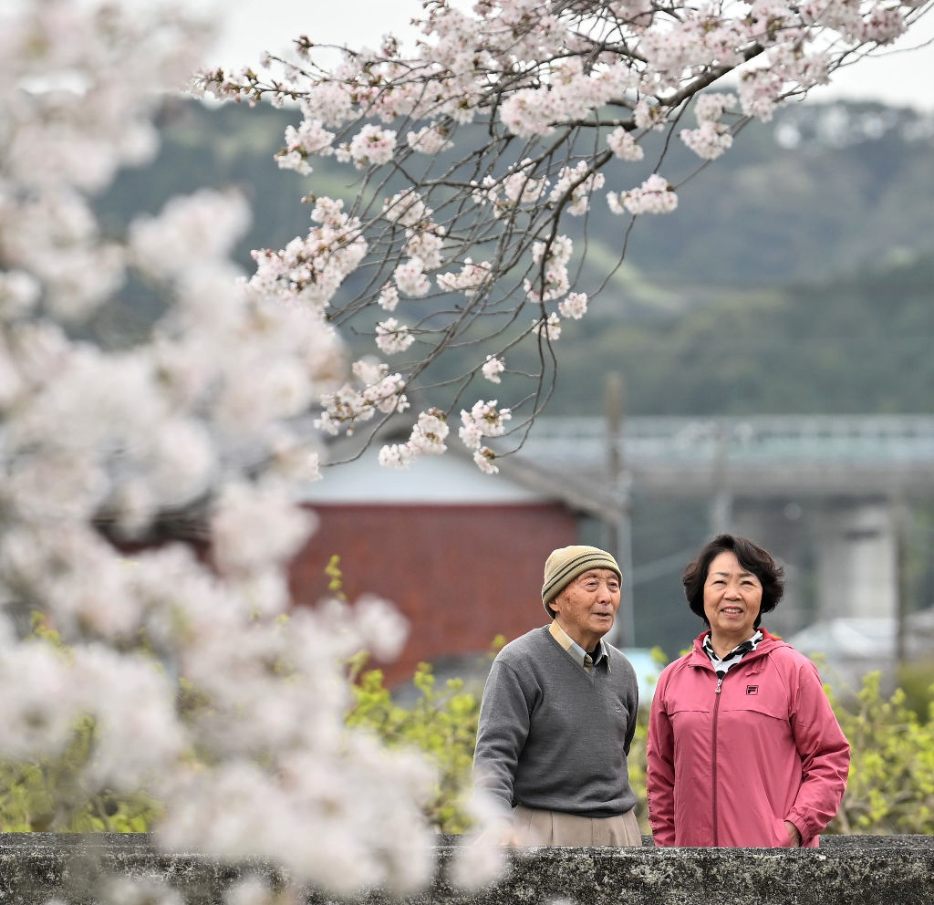 敷地川沿いの桜並木を妻と散歩する佐野健夫さん（左）＝２７日午後、磐田市（浜松総局・二神亨）