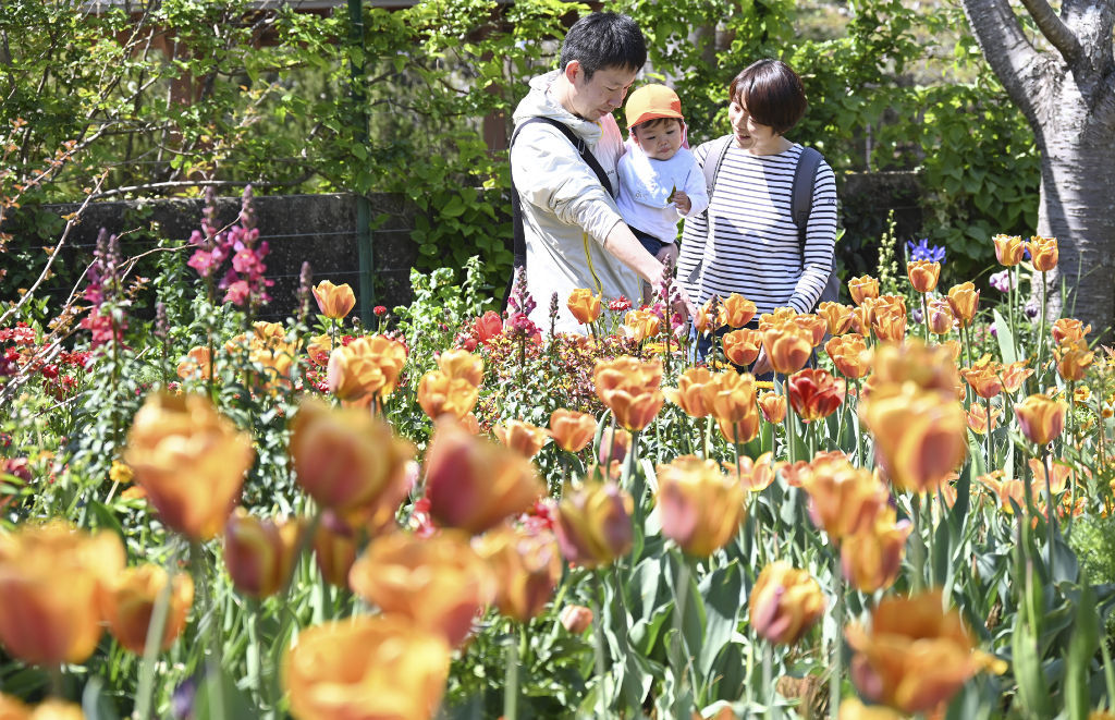 チューリップなど色とりどりの花を楽しむ親子連れ＝浜松市西区の浜名湖ガーデンパーク