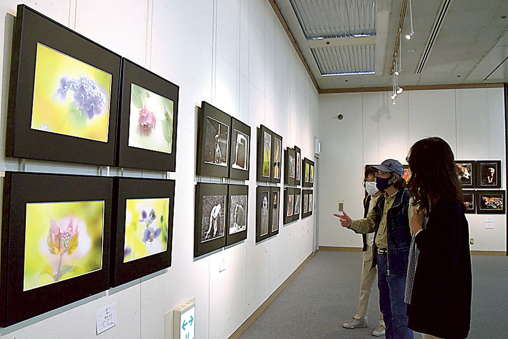 花や動物をテーマにした作品が並ぶ写真展＝浜松市中区のクリエート浜松