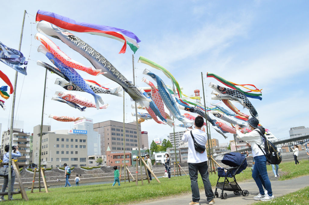 川沿いに掲げられたこいのぼり＝沼津市の狩野川緑地