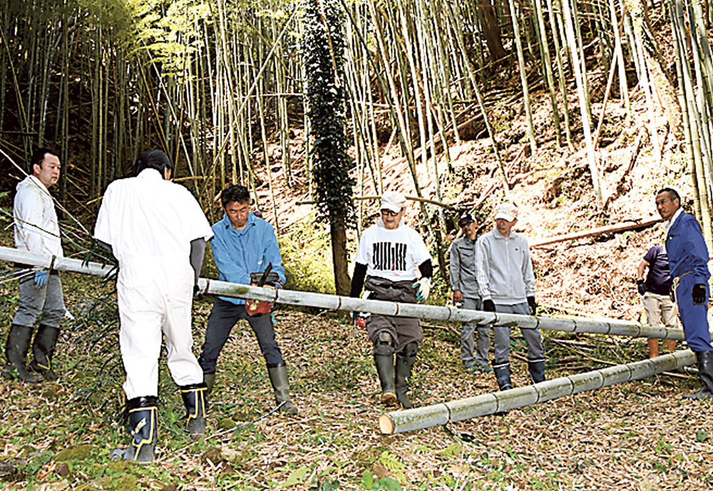 いかだの素材の竹を切るメンバー＝松崎町岩科南側