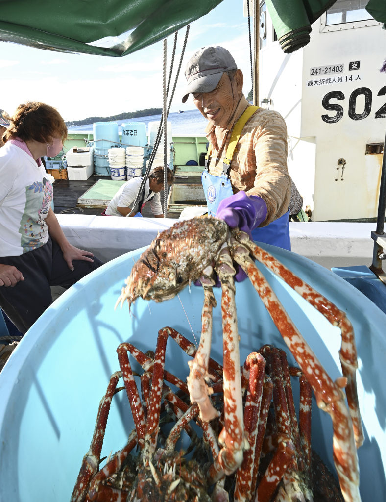 タカアシガニを水揚げする漁師＝沼津市戸田