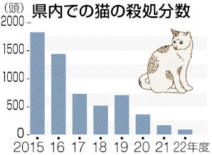 県内での猫の殺処分数