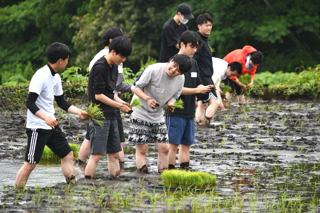 和やかに田植えを楽しむ５社の社員＝富士宮市原（写真の一部を加工しています）