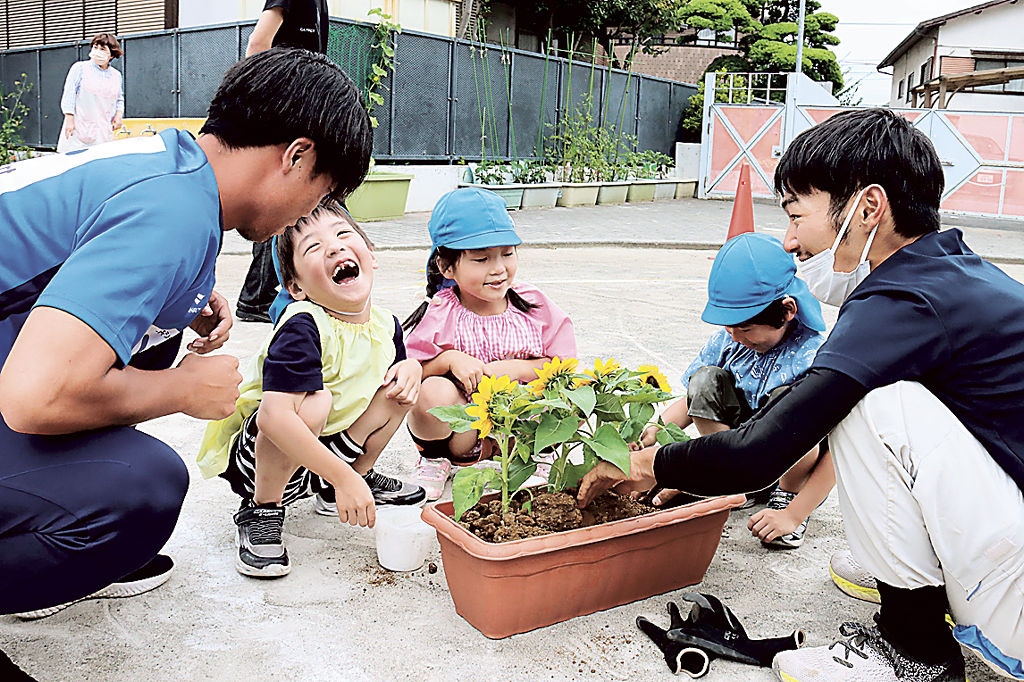 ヒマワリを植える園児ら＝長泉町の長泉幼稚園（町提供）