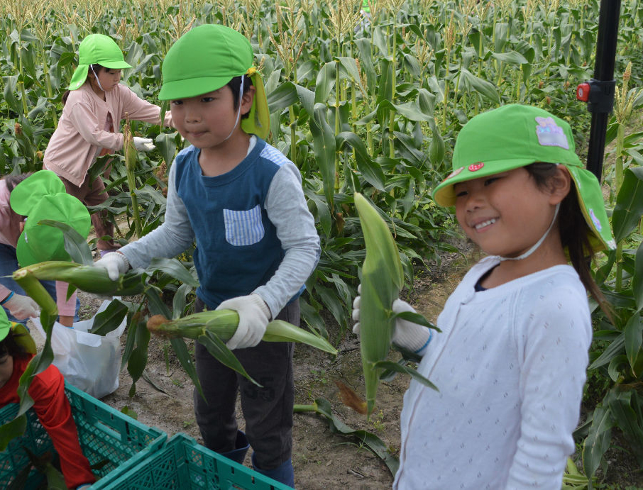 収穫したトウモロコシを手に笑顔をみせる園児ら＝磐田市（写真の一部を加工しています。）