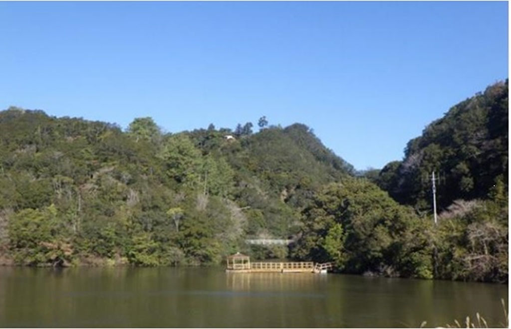 小笠山の南麓にある小笠池から山上の小笠神社を望む＝掛川市