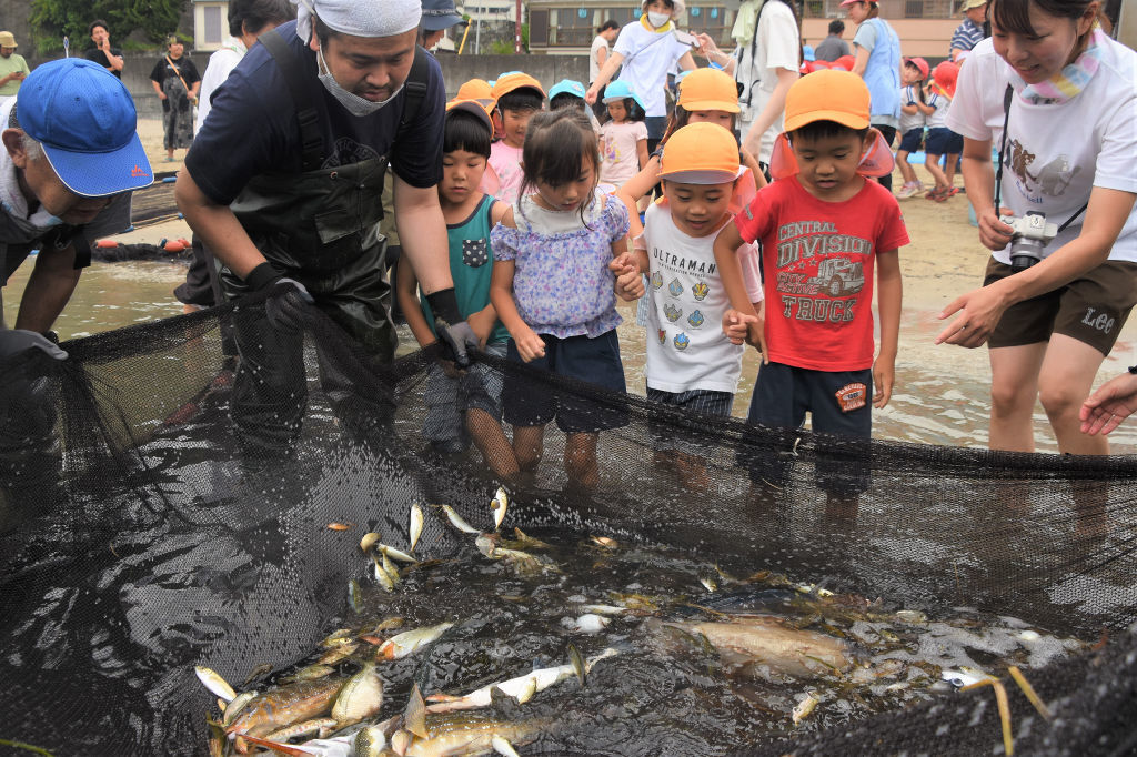 地引き網で捕れた魚を確認する園児＝松崎町の岩地海岸