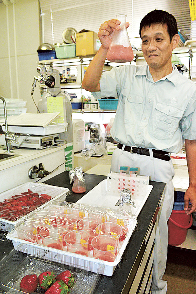 乳酸菌と米でイチゴを発酵させ、成分を解析する研究員＝磐田市の県農林技術研究所
