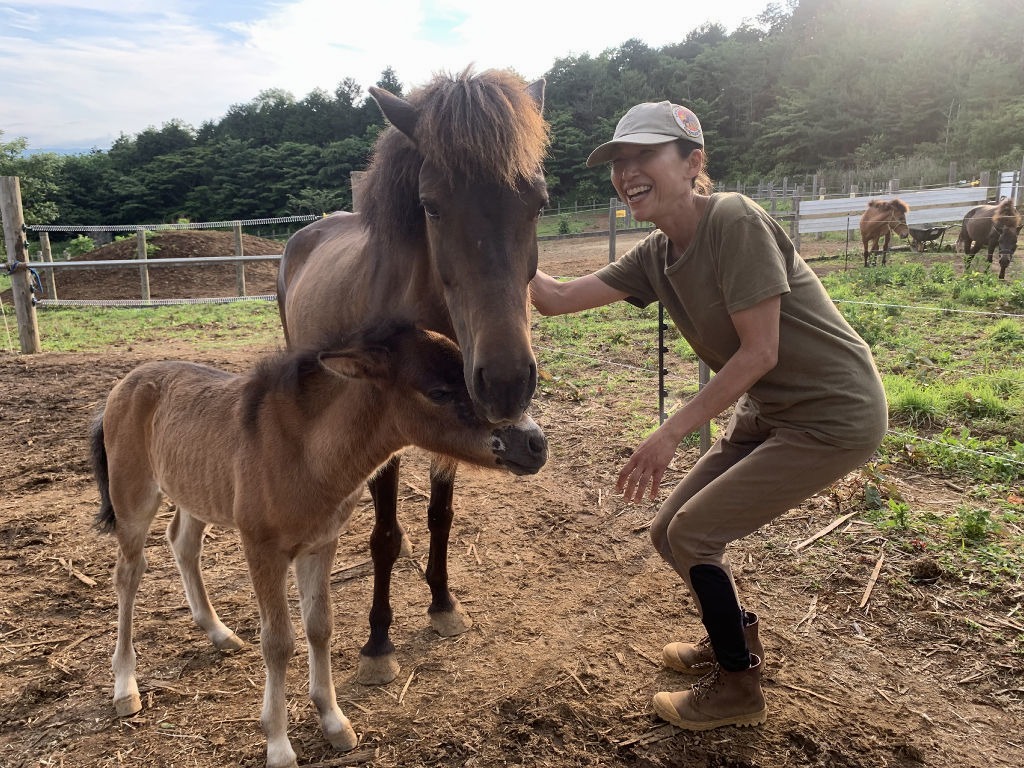 与那国馬に餌を与える高橋美恵さん＝６月上旬、伊豆の国市中の「伊豆の国うま広場」