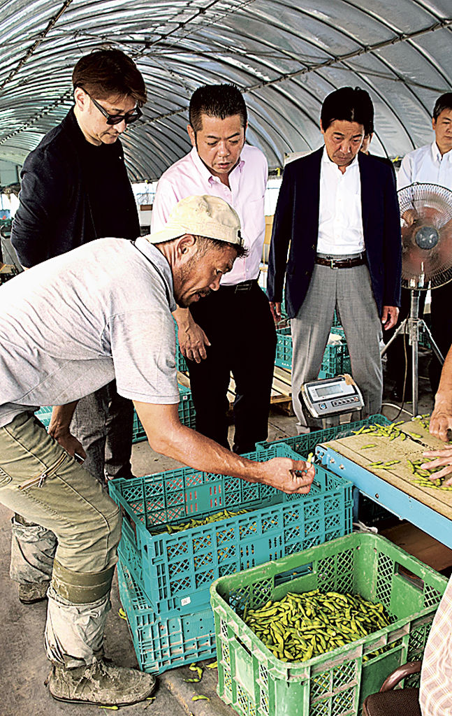 枝豆の生産現場を視察するニユートーキヨーの関係者たち＝焼津市上新田のアースグリーンファーム