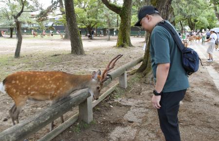 餌をもらう時におじぎする奈良公園のシカ＝２０日