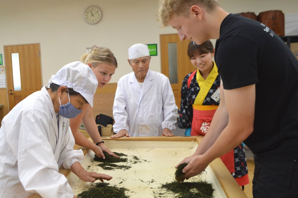 お茶の手もみを体験するドイツ人ら＝菊川市和田