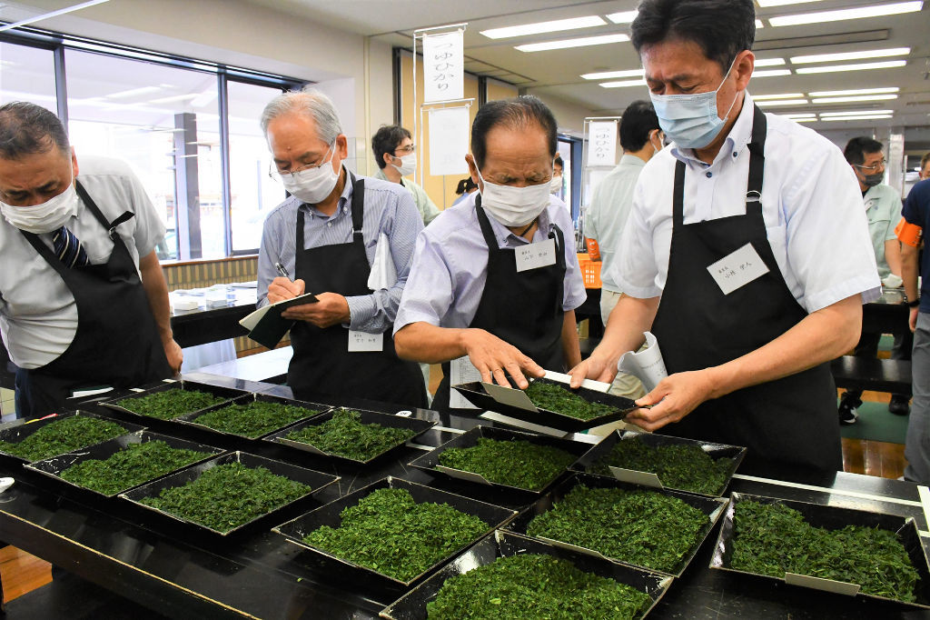 県茶品評会で審査する審査員ら＝１日午前、静岡市葵区の静岡茶市場