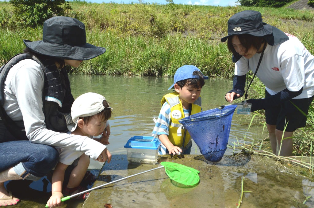 水の生き物を採集する子どもたち＝菊川市本所