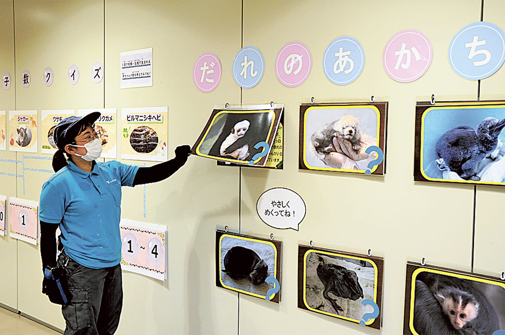動物の赤ちゃんについて解説する展示＝静岡市駿河区の日本平動物園
