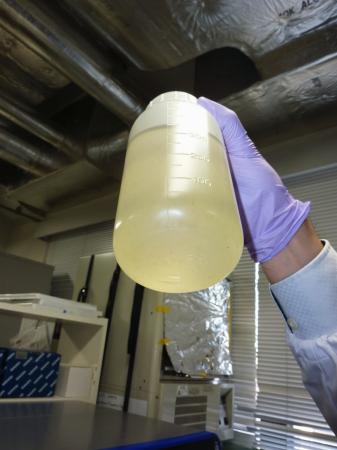 新型コロナウイルスの調査に用いる下水のサンプル＝２０２２年４月、札幌市