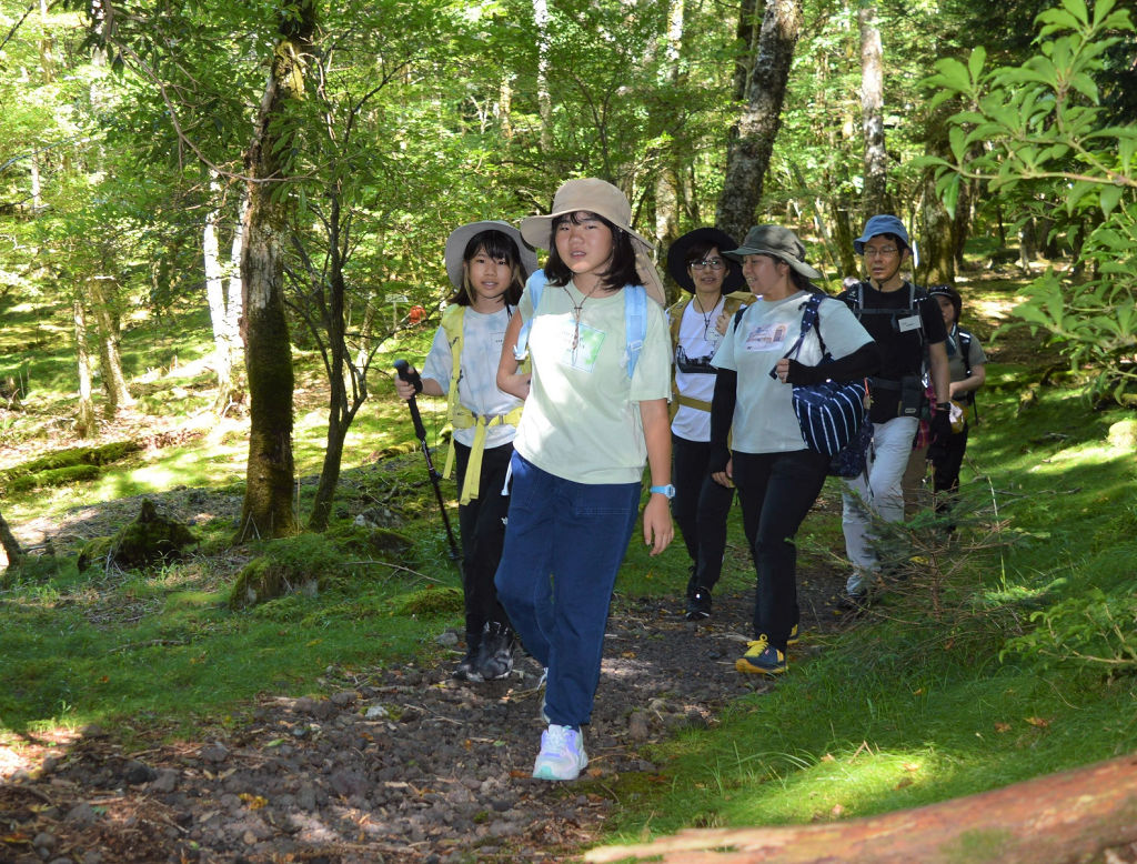 富士山麓の樹林帯巡りを楽しむ参加者＝１１日午前、同山