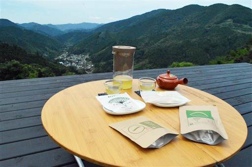 煎茶や抹茶、茶菓子を味わえる