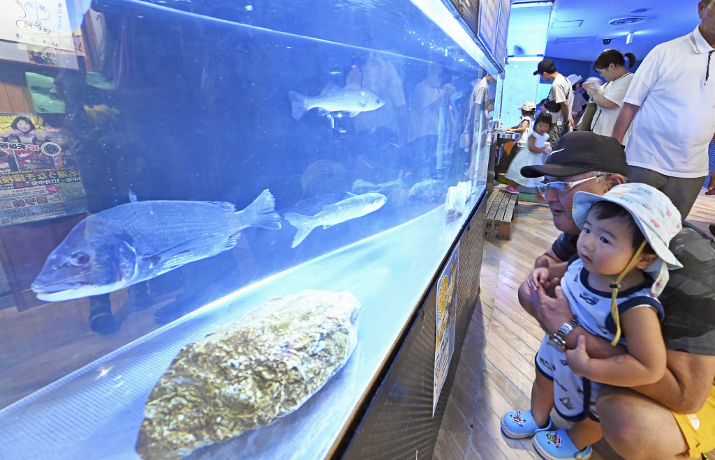 出世魚など家康から連想される魚を集めた特別展示＝浜松市西区の浜名湖体験学習施設「ウォット」
