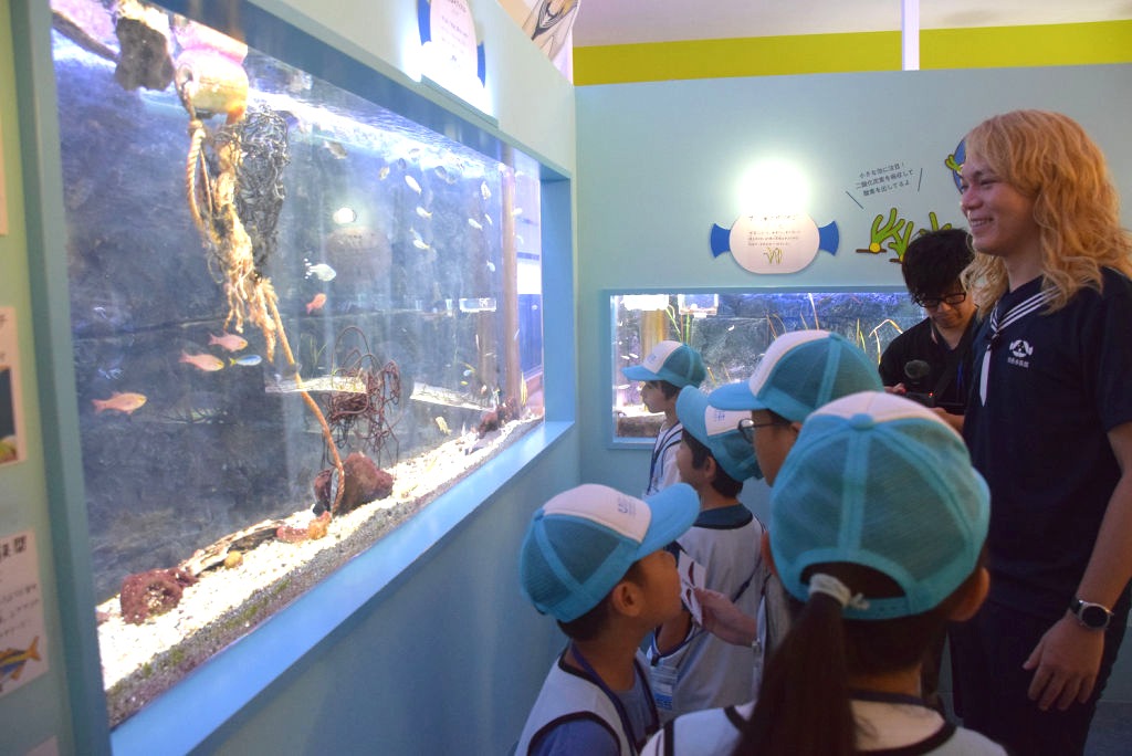 鈴木さん（右）と水槽を観察しながら展示方法を考える参加者ら＝清水町の幼魚水族館