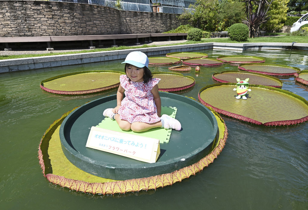 オオオニバスの葉に乗る子ども＝浜松市西区のはままつフラワーパーク