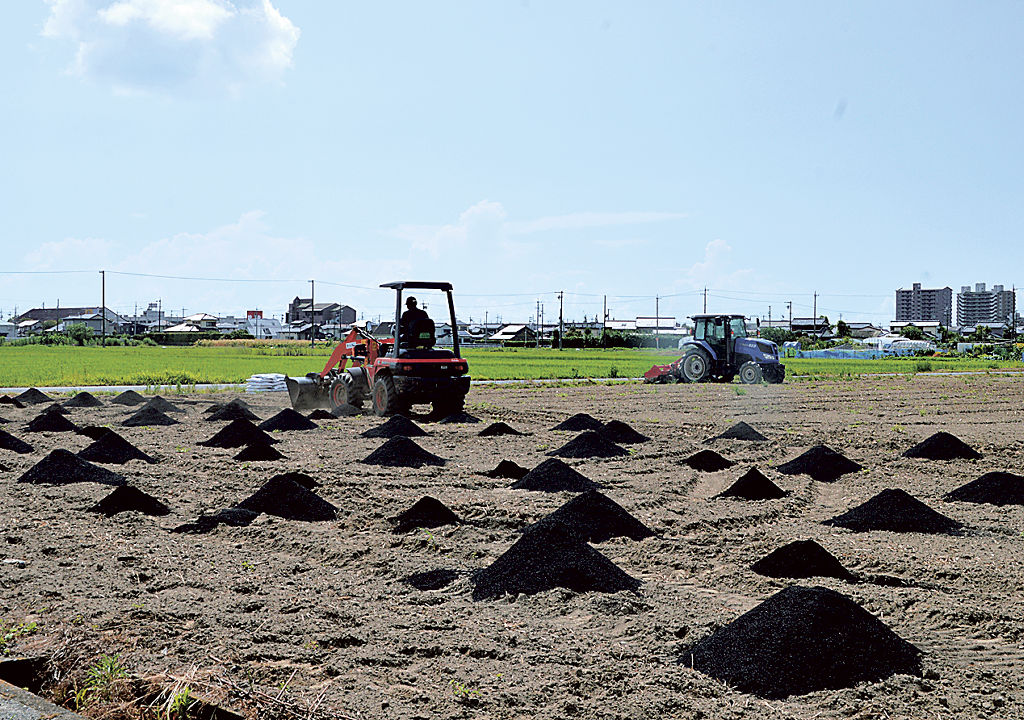 高機能バイオ炭を散布する実証実験が行われたキャベツ畑＝８月上旬、磐田市