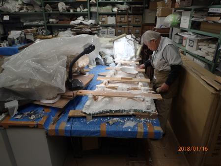 絶滅したインカクジラの化石のレプリカを製作する円尾博美さん（国立科学博物館の甲能直樹グループ長提供）