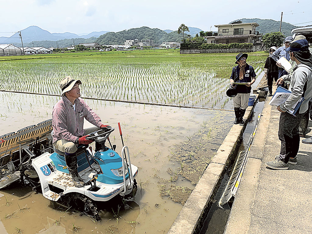 化学肥料を使わない米作りを学ぶ農家ら＝伊豆の国市