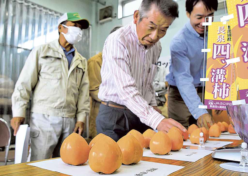 関係者が柿の色合いや糖度を確認した目ぞろえ会＝長泉町のながいずみ営農経済センター