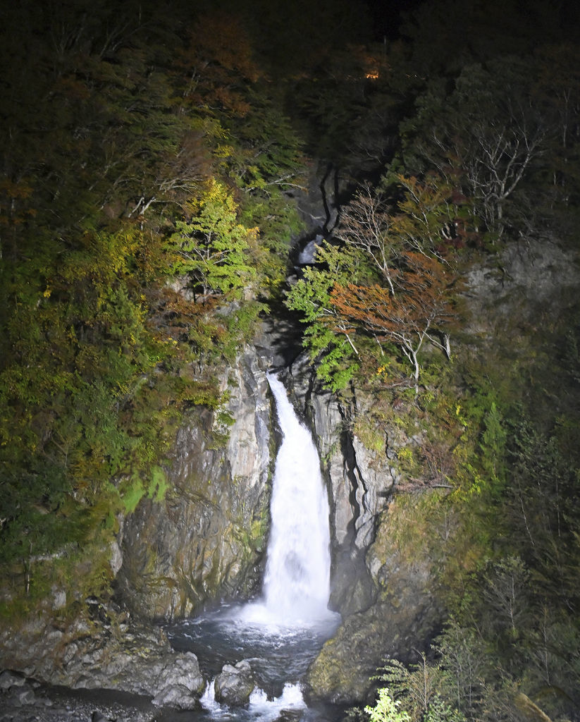 木々の紅葉と共にライトアップされる赤水の滝＝静岡市葵区梅ケ島