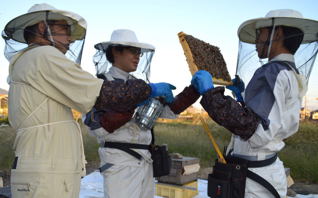 伊東教諭（左）の指導を受けながら、ミツバチの成育状況を確認する生徒