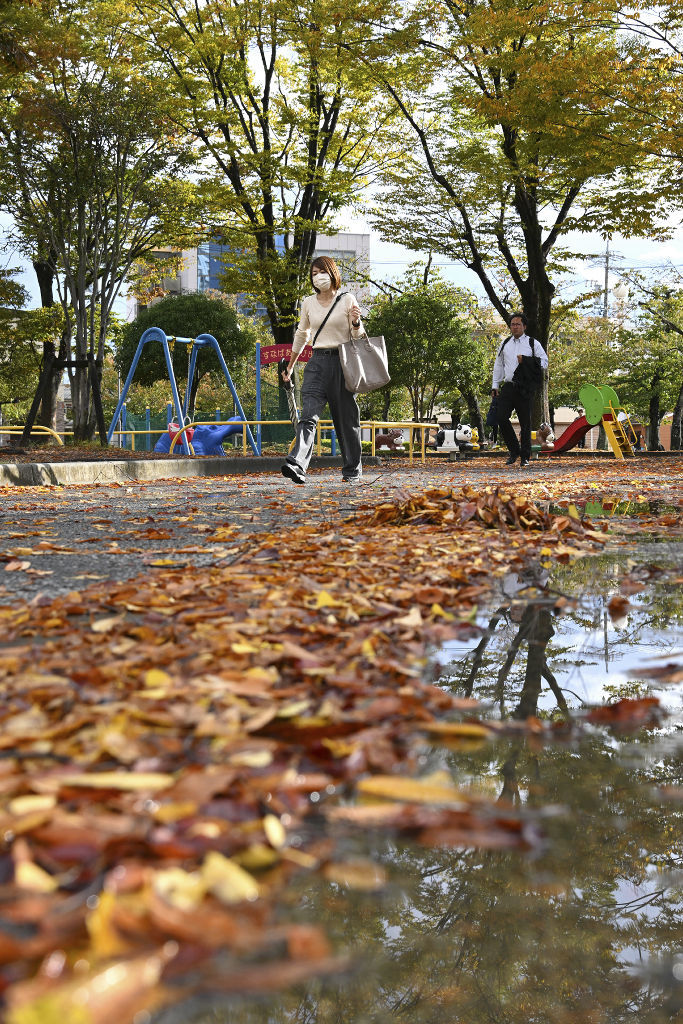 雨上がりの朝から気温が上昇する中、落ち葉が敷き詰められた公園で袖をまくり上げたり上着を手に持って歩く人たち＝７日午前８時３１分、静岡市駿河区