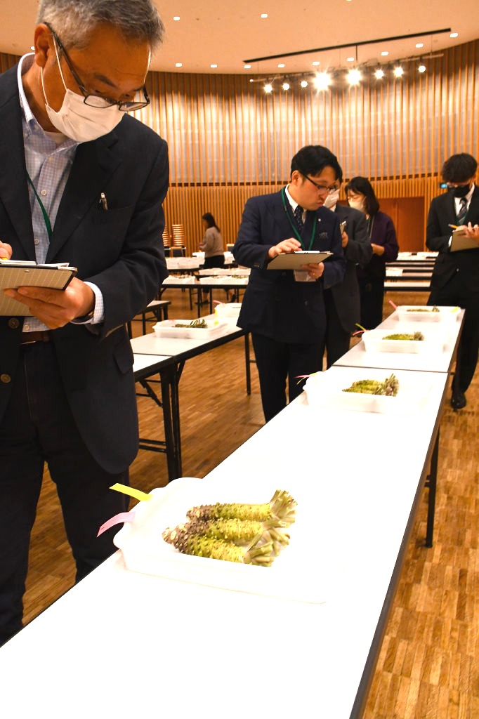 ワサビの出来栄えをチェックする審査員ら＝８日午後、静岡市駿河区のグランシップ