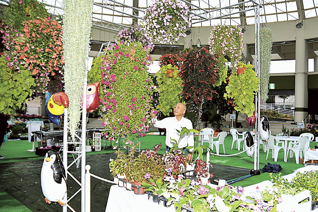 色とりどりの植物が並ぶフラワーフェスティバルの会場＝掛川市生涯学習センター