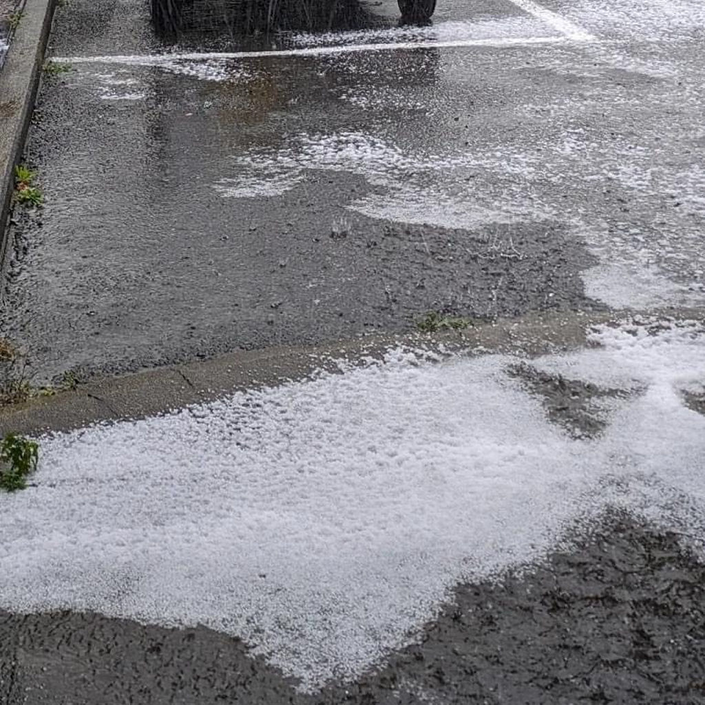 西伊豆町の一部地域では雨に混じりひょうやあられが降った＝午前９時４５分ごろ、同町宇久須（読者提供）