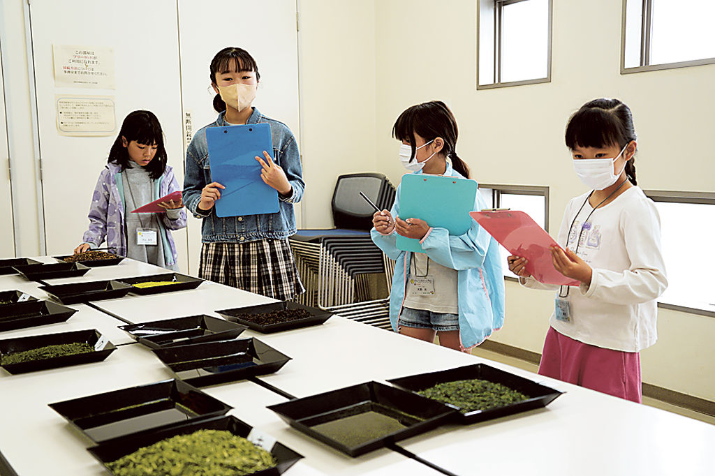 小学生がお茶の知識を競った「Ｔ―１グランプリ」＝島田市の地域交流センター歩歩路