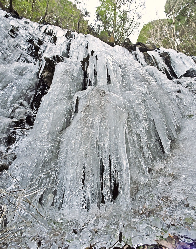 厳しい寒さの影響で出現した大滝の氷瀑=27日午前9時ごろ、静岡市葵区