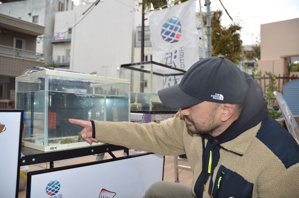 新川で取れた魚を展示したワークショップ＝浜松市中区の新川モール