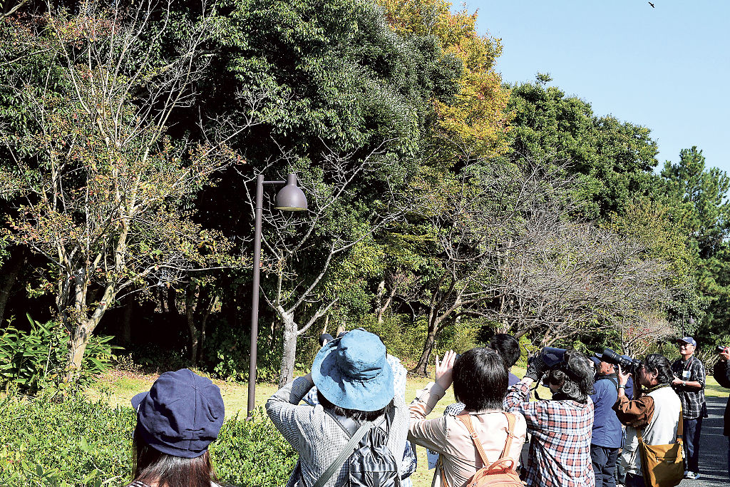 木の枝に止まった野鳥に双眼鏡やカメラを向ける探鳥会の参加者＝３日、浜松市西区の浜名湖ガーデンパーク